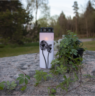 LED Gravljus Dandelion